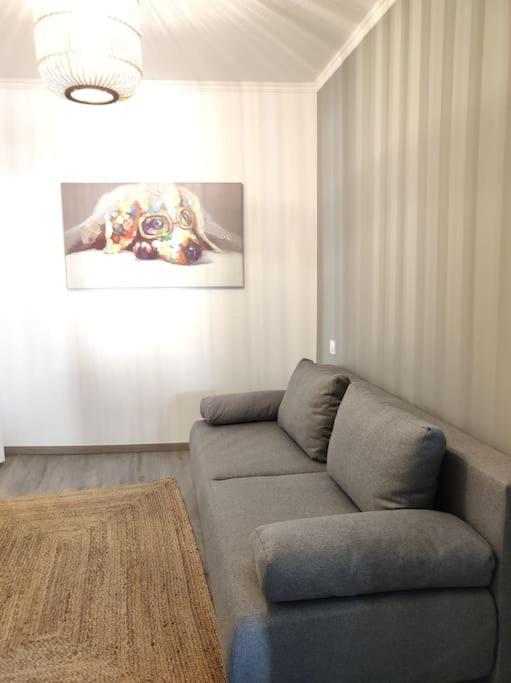 Cocon De Charline - Charme Et Elegance Dans Le Centre Apartment มงโตบ็อง ภายนอก รูปภาพ